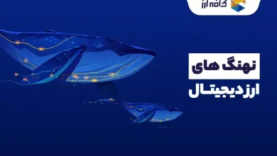 نهنگ ارز دیجیتال به چه کسی گفته می شود 🐳 | ردیابی نهنگ های ارز دیجیتال 2024