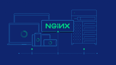 Nginx چیست و چه کاربردهایی دارد؟ آیا به درد سایت شما می‌خورد؟