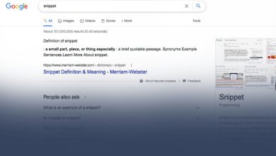 اسنیپت چیست؟ و چه تاثیری بر سئو سایت شما دارد؟